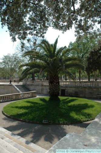 Nimes010Peyronnier.jpg