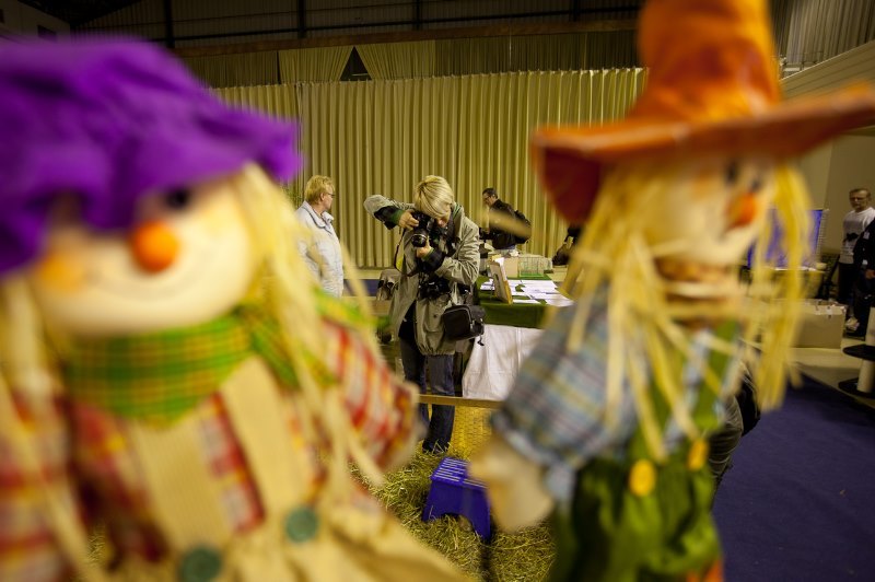 Panoderama1080on work.jpg