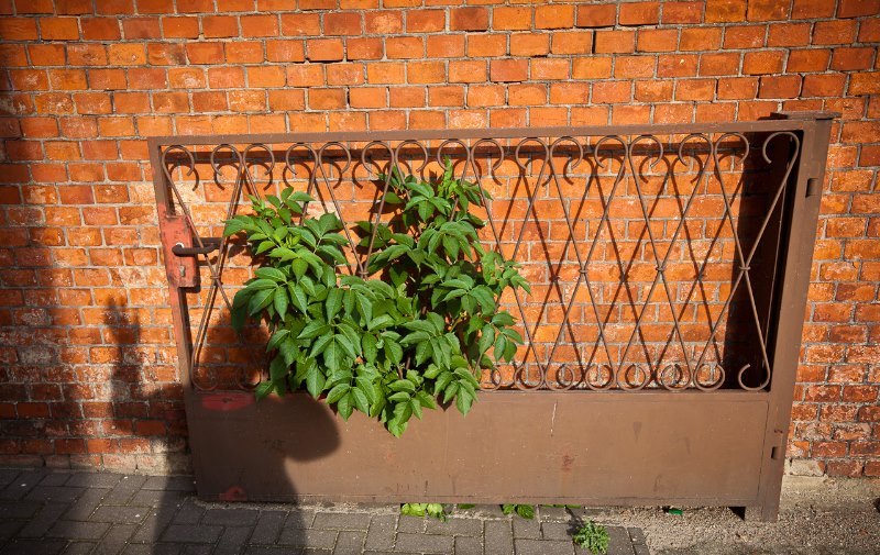 Panoderama1086on work.jpg